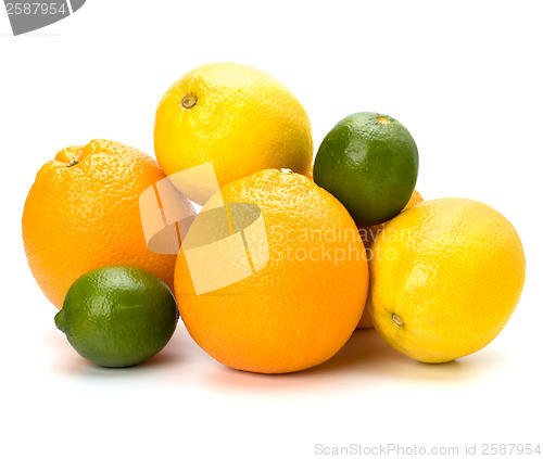 Image of Citrus fruits