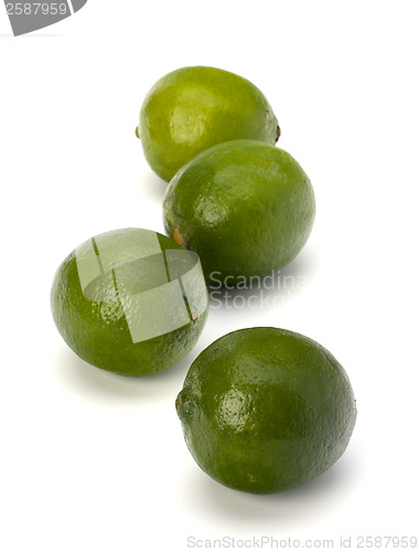 Image of Lime