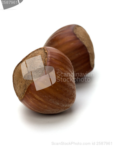 Image of hazelnuts isolated on white background