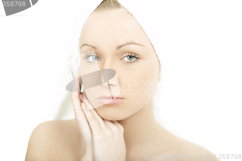 Image of Pure Beauty 3
