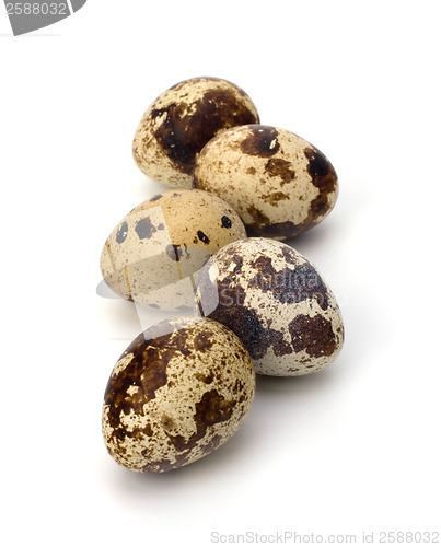 Image of quail eggs