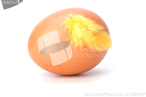 Image of Egg and feather isolated on white background. Easter decor.