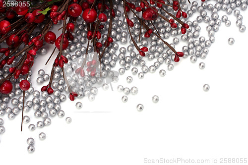 Image of Christmas border  with hawthorn 