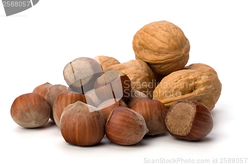 Image of nuts isolated on white background 