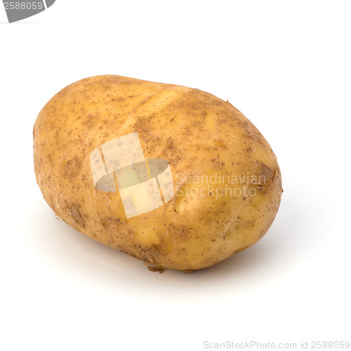 Image of potato