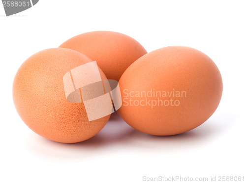 Image of eggs isolated on white background