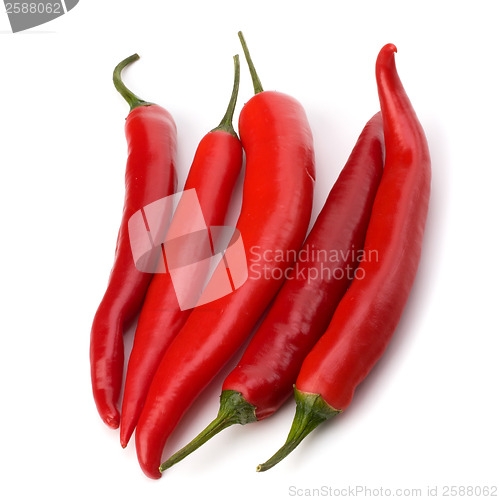 Image of Chili pepper isolated on white background