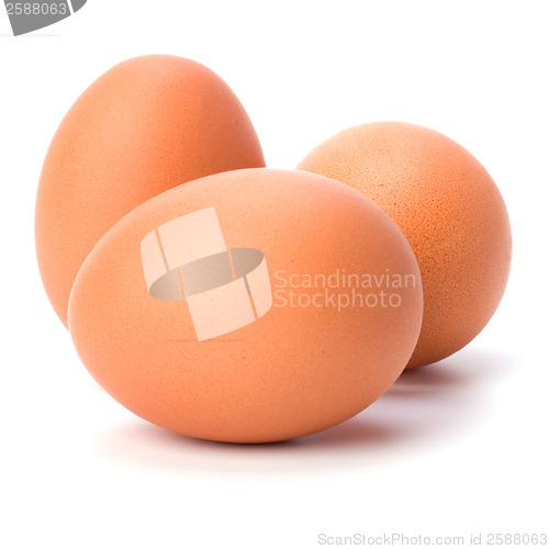 Image of eggs isolated on white background