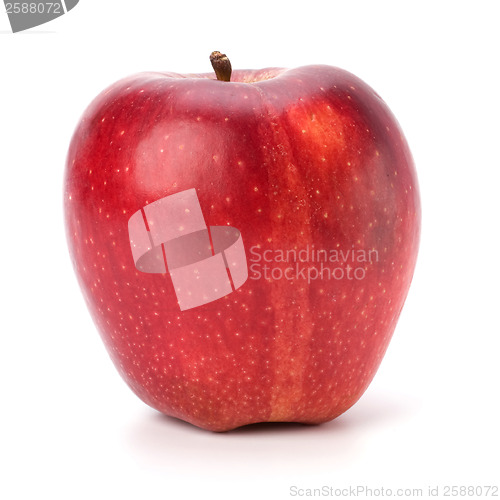 Image of red apple isolated on white background