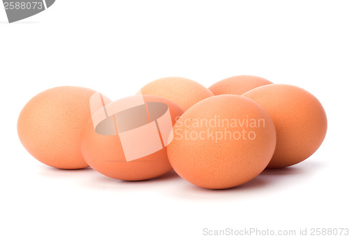 Image of eggs isolated on white background