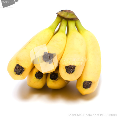 Image of bananas isolated on white background 

