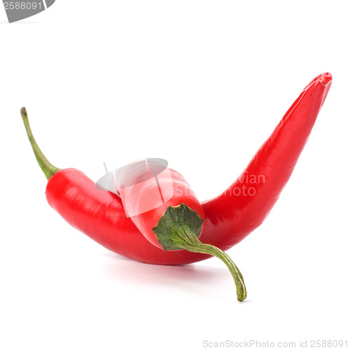 Image of Chili pepper isolated on white background