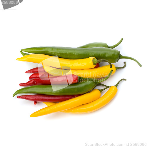 Image of Chili pepper isolated on white background