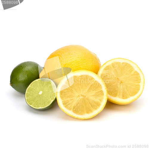 Image of Citrus fruits