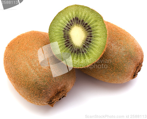 Image of kiwi fruit isolated on white background
