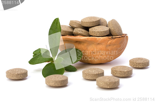 Image of herbal pills