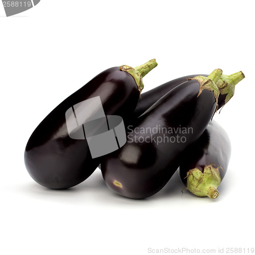 Image of eggplants isolated on white background close up