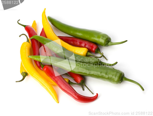 Image of Chili pepper isolated on white background