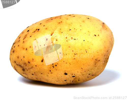 Image of potato isolated on white background