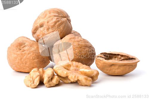Image of walnuts isolated on white background