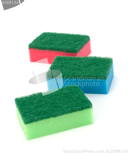 Image of sponges 