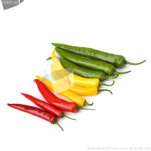 Image of Chili pepper isolated on white background