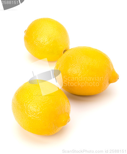 Image of Lemon
