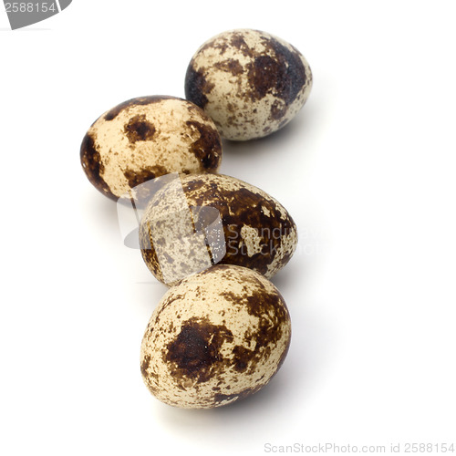 Image of quail eggs