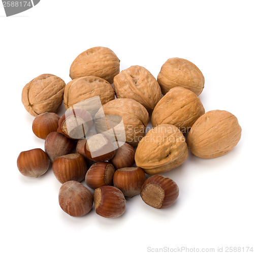 Image of nuts isolated on white background 