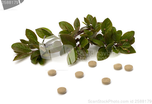 Image of herbal medicine isolated on white background 