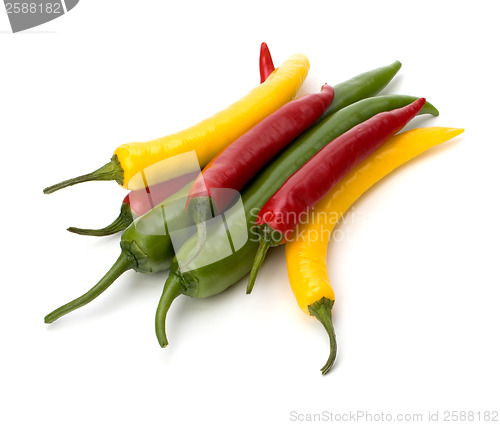 Image of Chili pepper isolated on white background