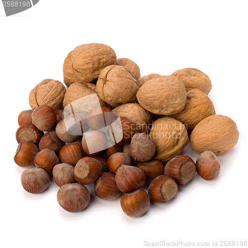 Image of nuts isolated on white background 