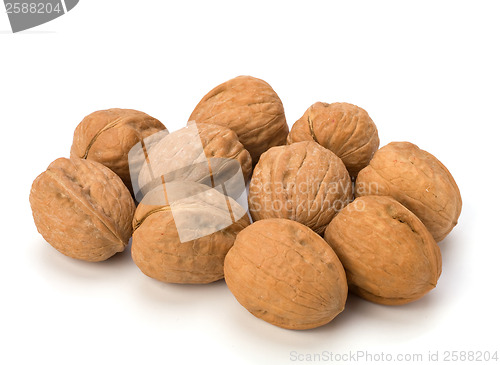 Image of walnuts isolated on white background 