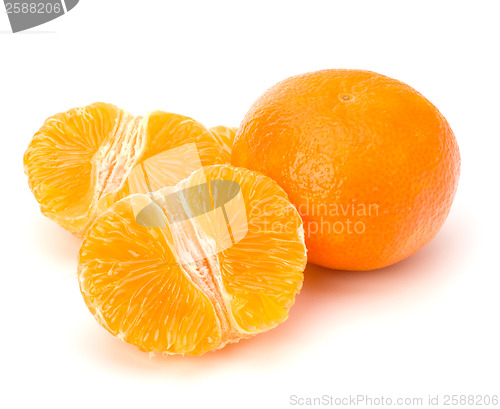 Image of Tangerine