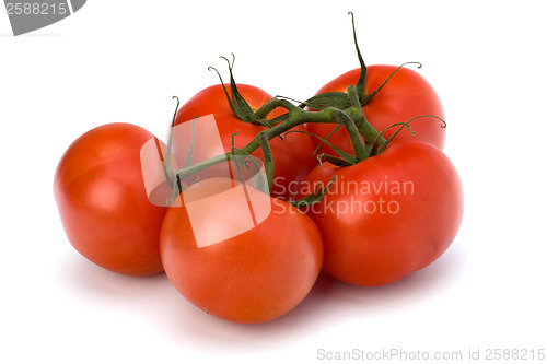 Image of red tomato isolated on the white background 