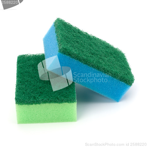 Image of sponges 