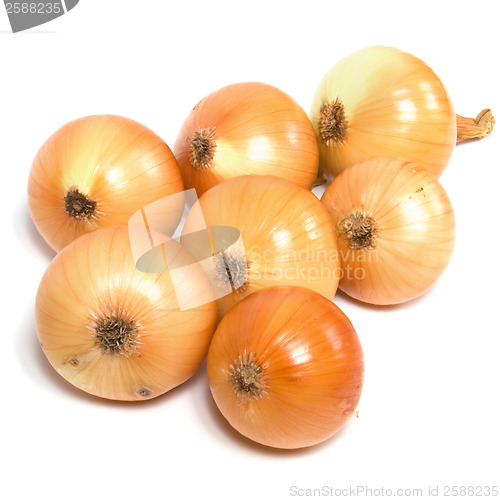 Image of onion isolated on white background