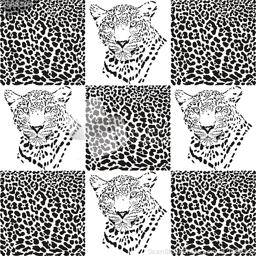 Image of Leopard patterns for Textiles