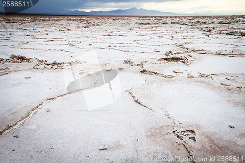 Image of Salt Desert