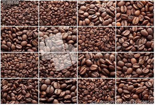 Image of Coffee beans
