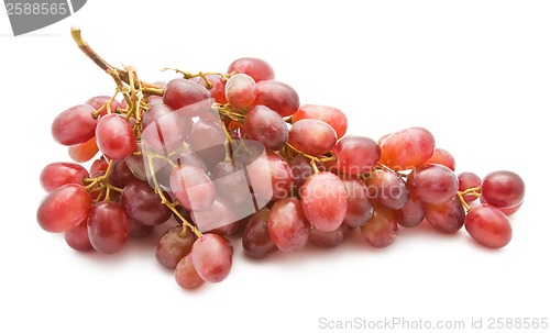 Image of Grapes