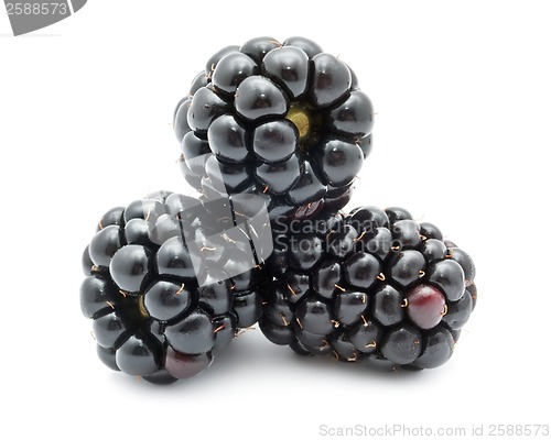 Image of Blackberry