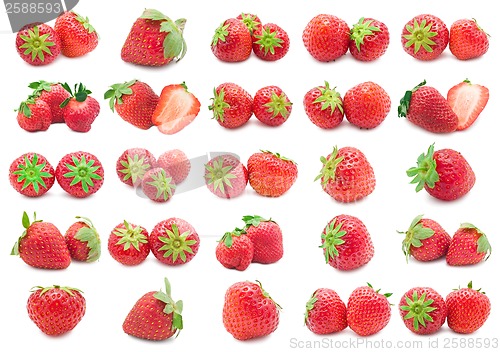 Image of Strawberry