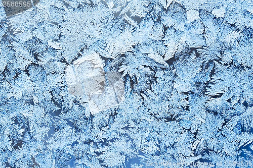 Image of Frost pattern