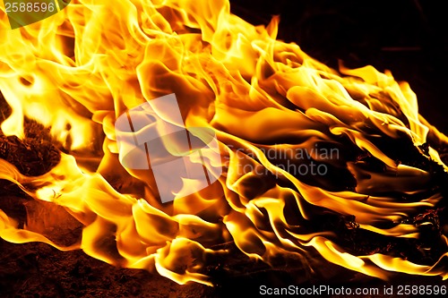Image of Fire