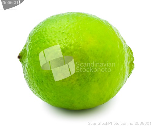 Image of Lime