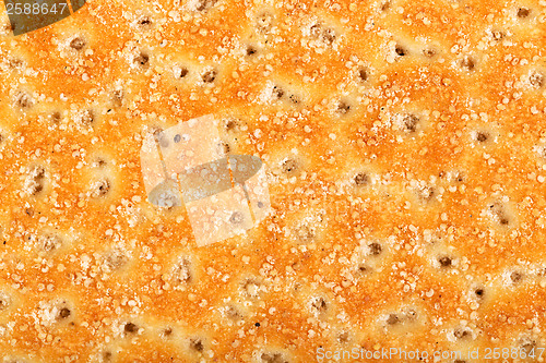 Image of Wheat crackers with poppy seeds