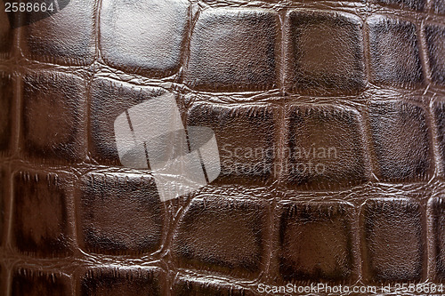 Image of Natural brown leather background closeup