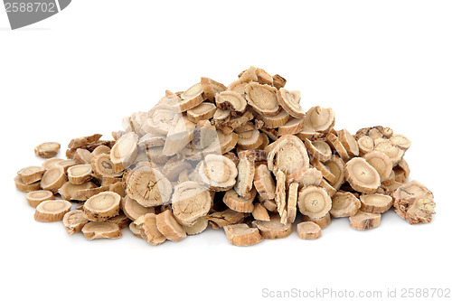 Image of Astragalus Root