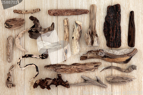 Image of Driftwood 